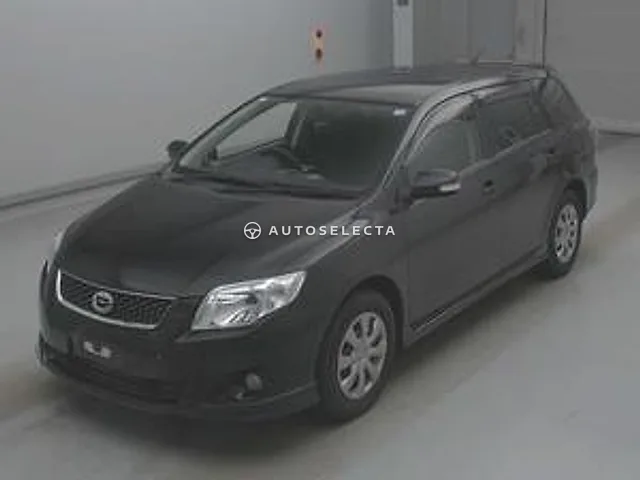 Toyota Corolla Fielder 2009, auction grade RA