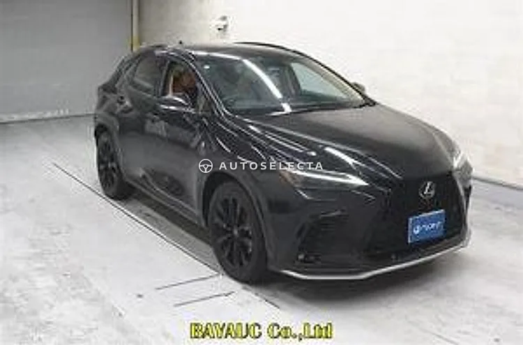 Lexus NX 2024, photo 1 of 1
