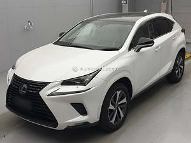 Lexus NX 2019, auction grade 4