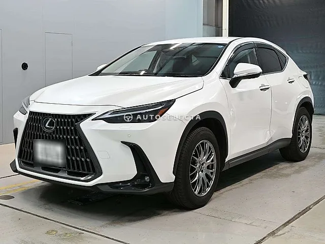 Lexus NX 2023, auction grade 5