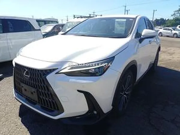 Lexus NX 2022, photo 1 of 11