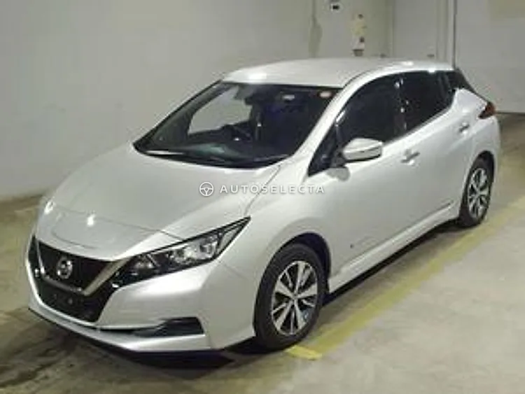 Nissan Leaf 2019, photo 1 of 1