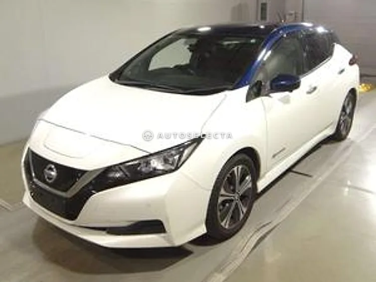 Nissan Leaf 2019, photo 1 of 1