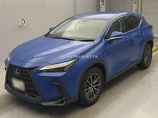 Lexus NX 2024, auction grade 4.5
