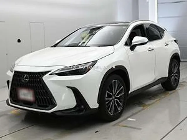 Lexus NX 2023, auction grade 5