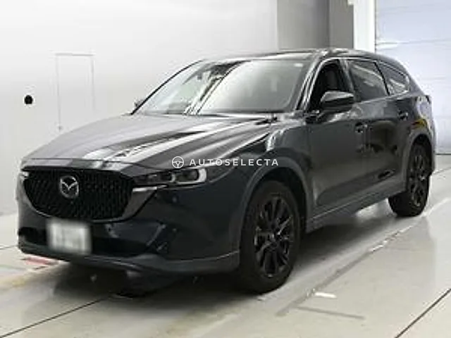 Mazda CX-8 2023, auction grade 5