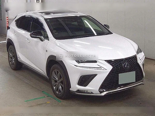 Lexus NX 2020, auction grade 4.5