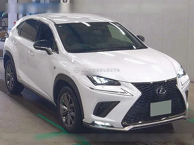 Lexus NX 2020, auction grade 4.5