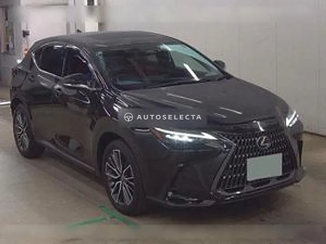 Lexus NX 2023, auction grade 5