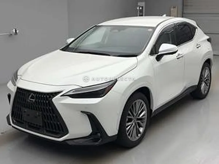 Lexus NX 2024, photo 1 of 2