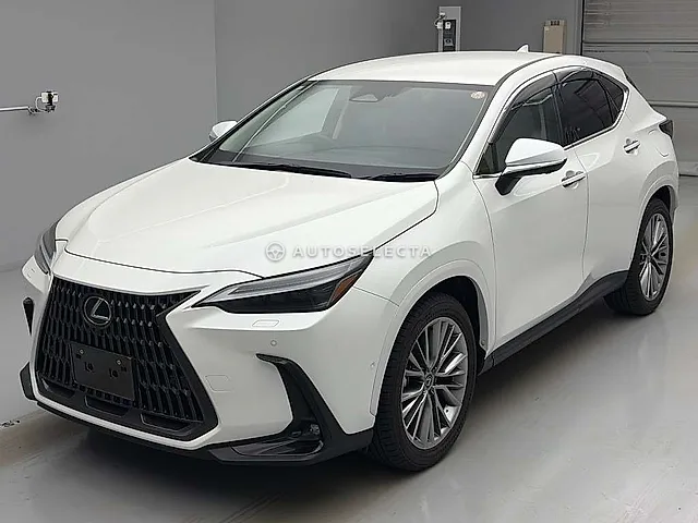 Lexus NX 2024, auction grade 5
