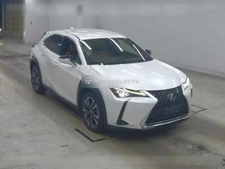 Lexus UX 2019, photo 1 of 1