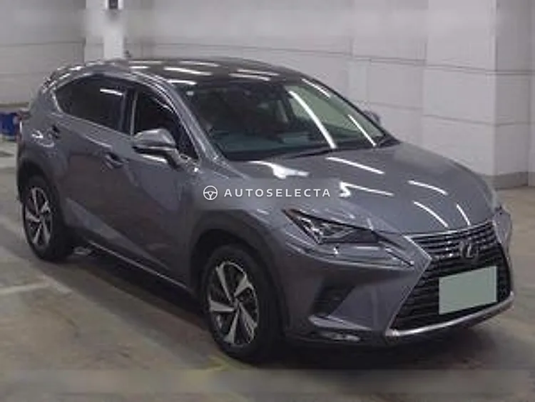 Lexus NX 2019, photo 1 of 1