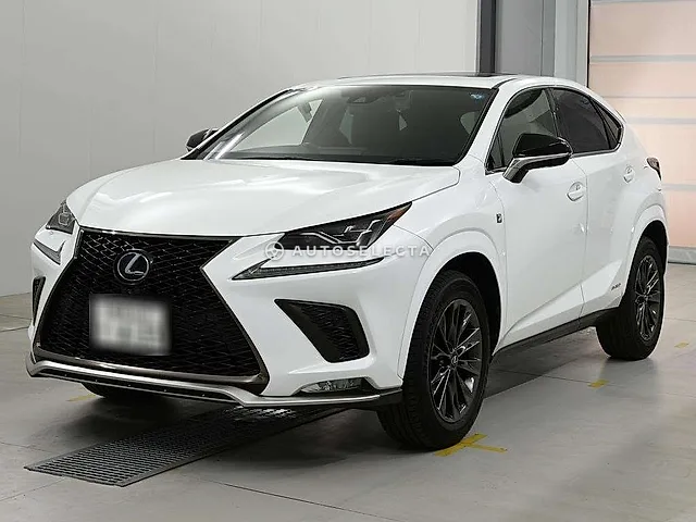 Lexus NX 2020, auction grade 4.5