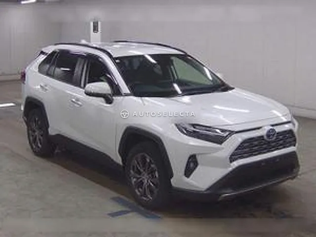 Toyota RAV4 2023, auction grade 5