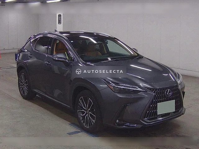 Lexus NX 2023, auction grade 5