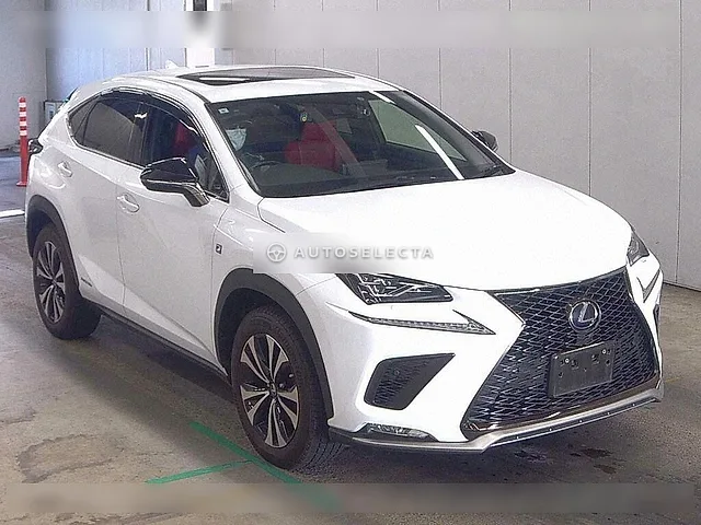 Lexus NX 2019, auction grade 3