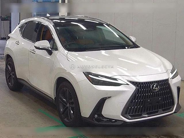 Lexus NX 2023, auction grade 4