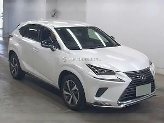 Lexus NX 2020, auction grade 4.5