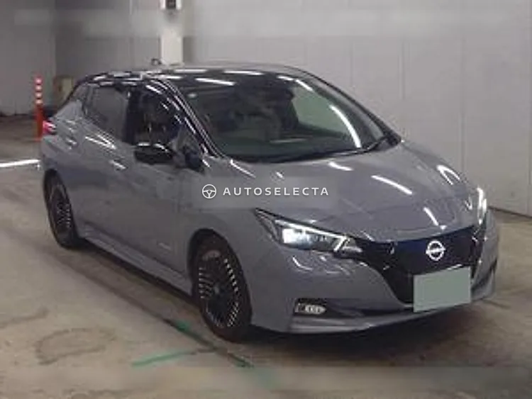 Nissan Leaf 2022, photo 1 of 1
