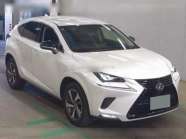 Lexus NX 2018, auction grade 4