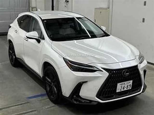 Lexus NX 2024, auction grade 5