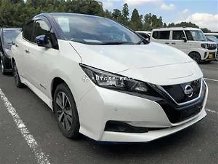 Nissan Leaf 2019, photo 1 of 1