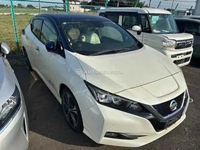 Nissan Leaf 2019