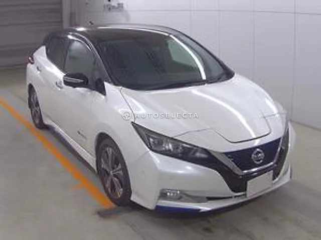 Nissan Leaf 2017, auction grade 4