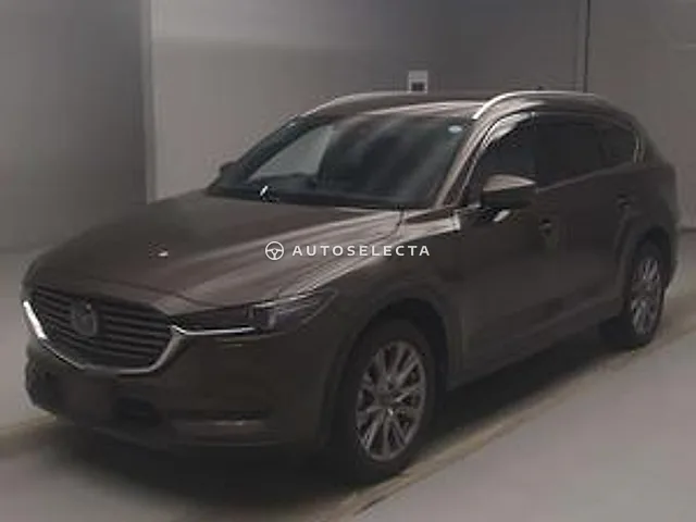 Mazda CX-8 2019, auction grade 4.5