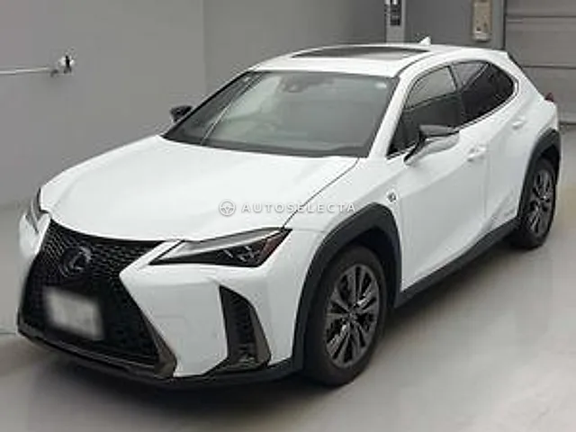 Lexus UX 2019, auction grade 4.5