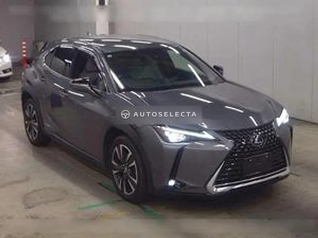 Lexus UX 2019, auction grade R