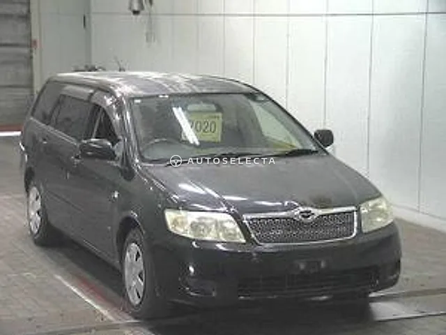 Toyota Corolla Fielder 2005, auction grade 3