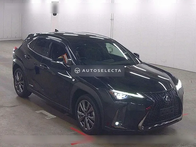 Lexus UX 2019, auction grade 4.5
