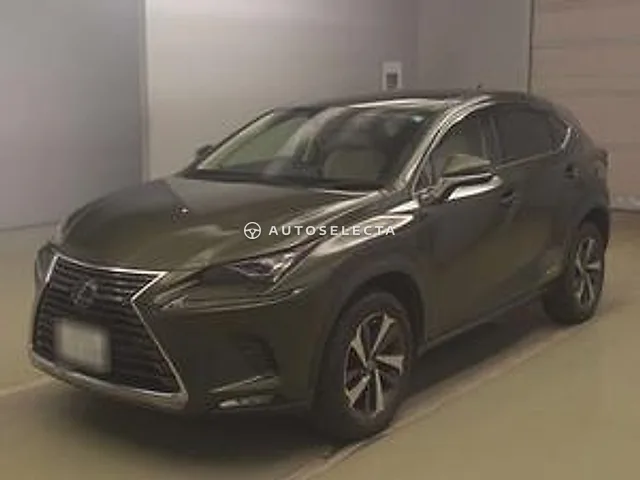 Lexus NX 2021, auction grade 4