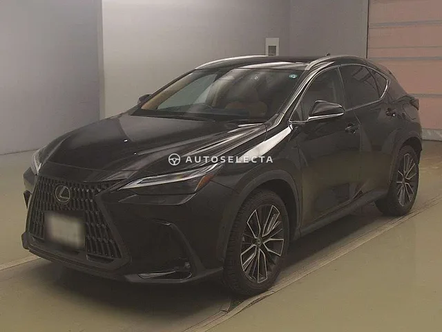 Lexus NX 2023, auction grade 4