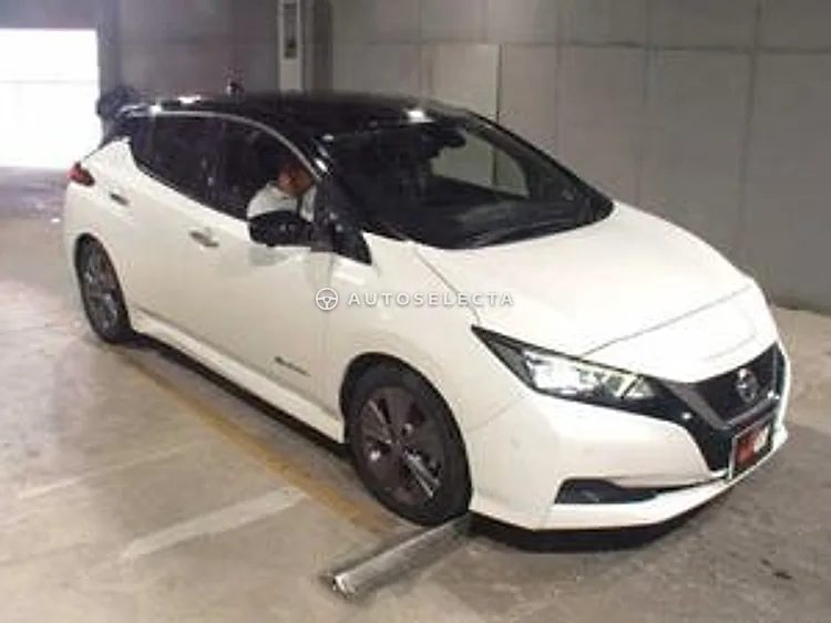 Nissan Leaf 2021, photo 1 of 1