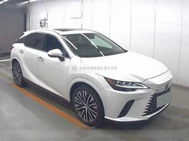 Lexus RX 2025, auction grade 5