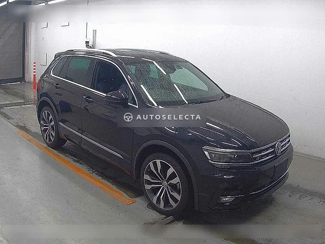 Volkswagen Tiguan 2019, auction grade 4.5