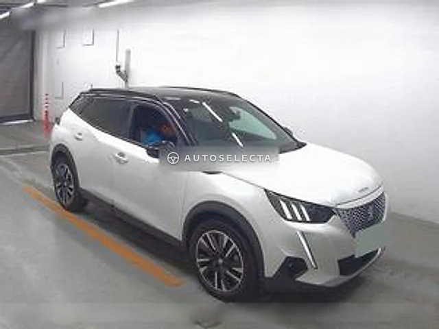 Peugeot SUV E-2008 2020, auction grade 4.5