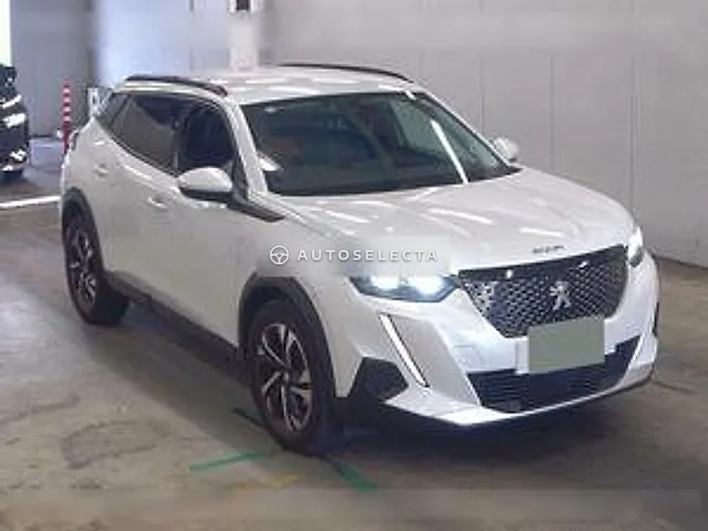 Peugeot 2008 2020, auction grade 4.5