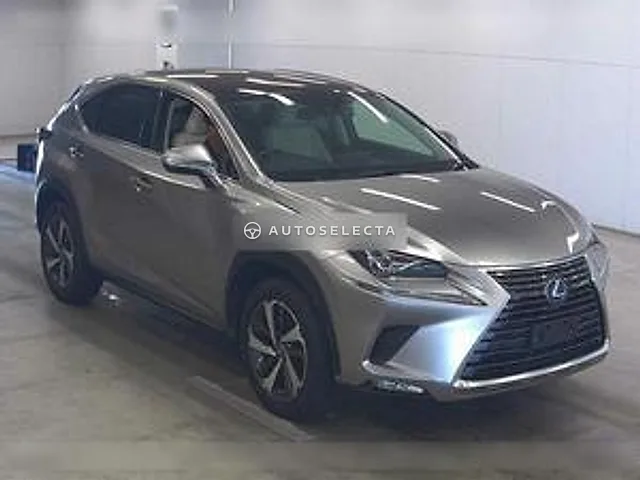Lexus NX 2019, auction grade 4.5