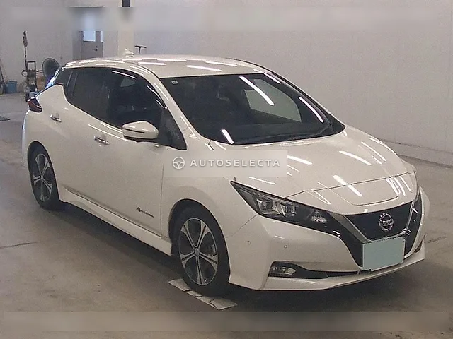 Nissan Leaf 2019, auction grade 4.5