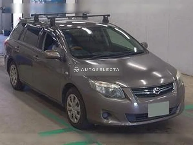 Toyota Corolla Fielder 2010, auction grade 4