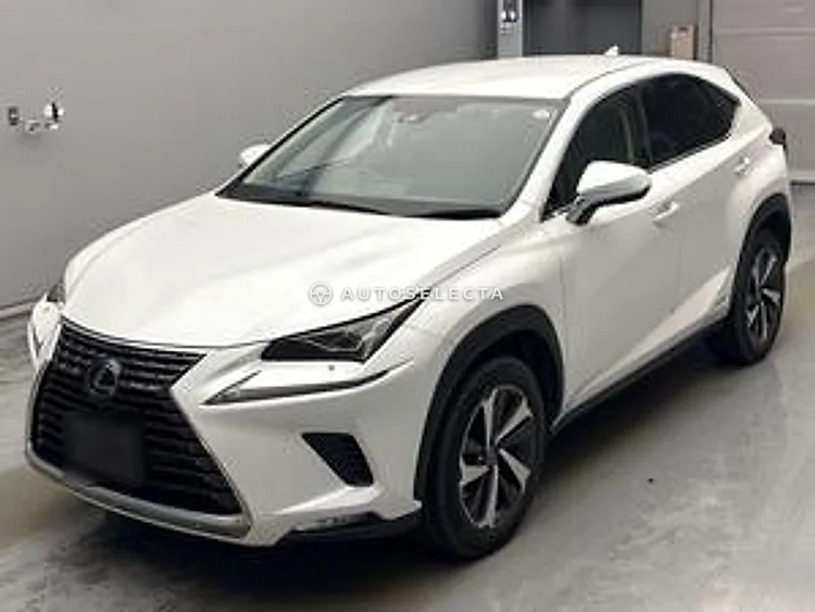 Lexus NX 2020, photo 1 of 2