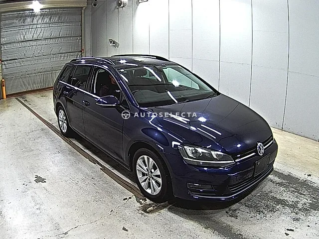 Volkswagen Golf Variant 2016, auction grade 4