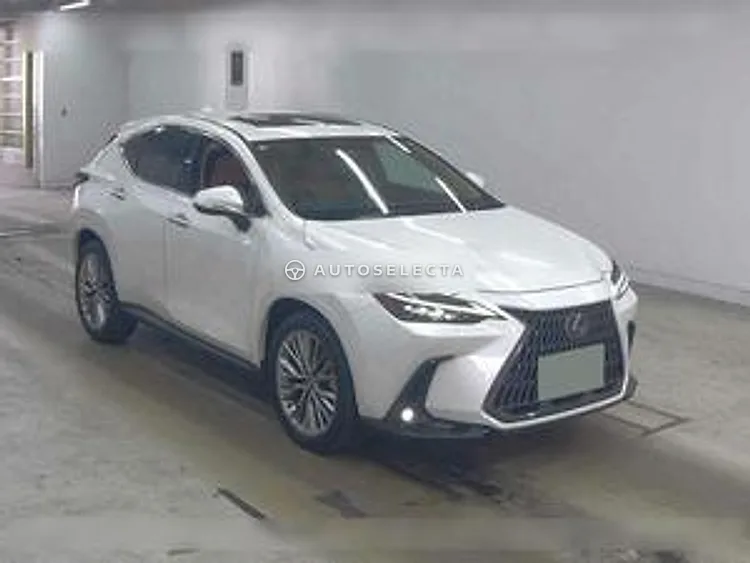 Lexus NX 2024, photo 1 of 6