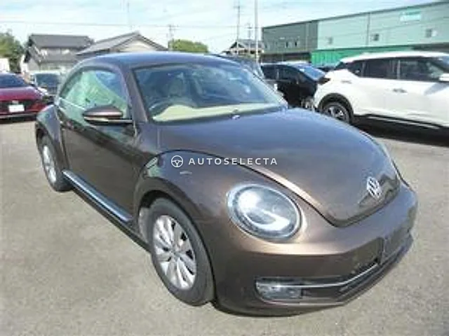 Volkswagen The Beetle 2014