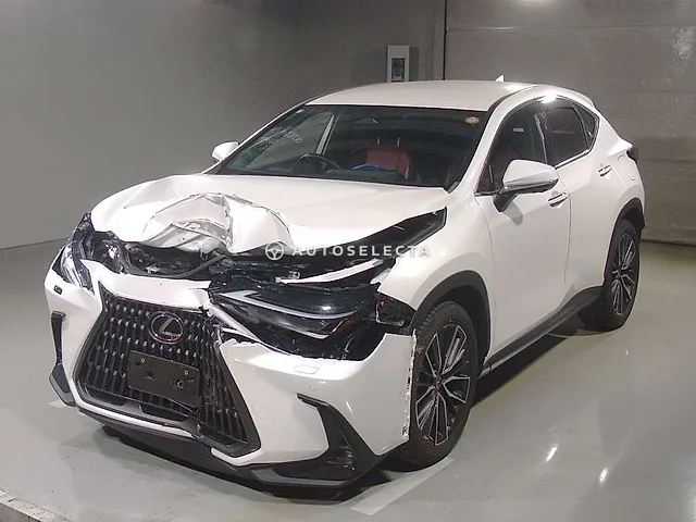 Lexus NX 2023, auction grade R