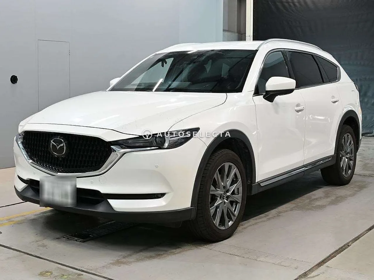 Mazda CX-8 2021, photo 1 of 1
